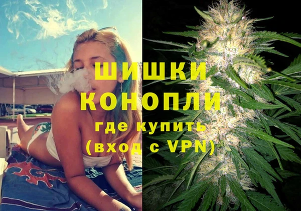 твердый Горняк