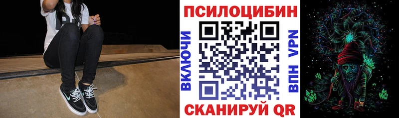 Псилоцибиновые грибы Cubensis  Купить закладки  Борисоглебск 