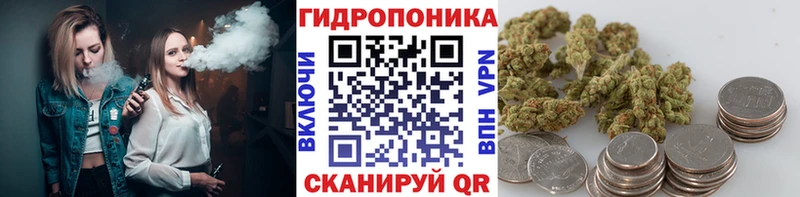 Бошки марихуана конопля  Купить закладки  Борисоглебск 